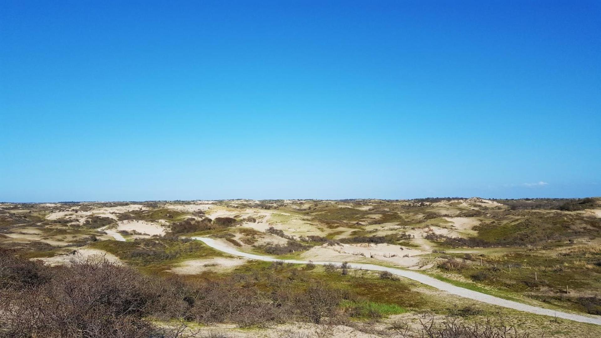 Bamboe Suite Bentveld Met Ligbad En Gratis Parkeren Exterior foto